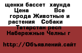 щенки бассет- хаунда › Цена ­ 20 000 - Все города Животные и растения » Собаки   . Татарстан респ.,Набережные Челны г.